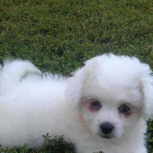 Meet your Posher, Margie taylor