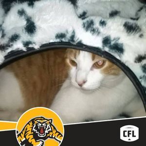 Meet your Posher, Sharon