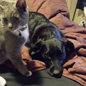 Meet your Posher, Penny