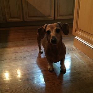 Meet your Posher, Melissa