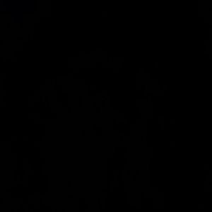 Meet your Posher, Germany