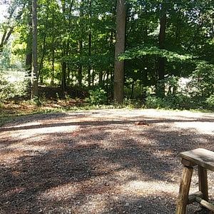 Meet your Posher, Judy