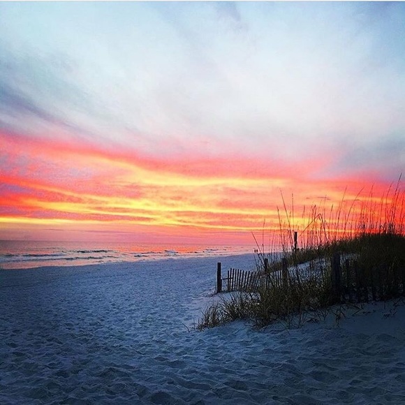 Meet your Posher, Connie - Picture 2 of 4