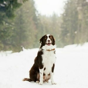 Meet your Posher, Yvonne