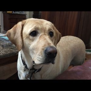 Meet your Posher, Marty