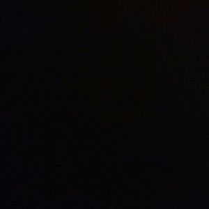 Meet your Posher, Shawn