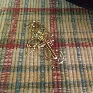 Meet your Posher, Lucinda