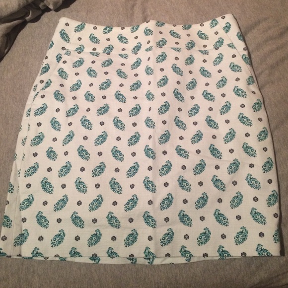 Ann Taylor skirt