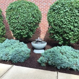 Meet your Posher, Tal