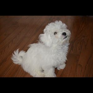 Meet your Posher, Zara