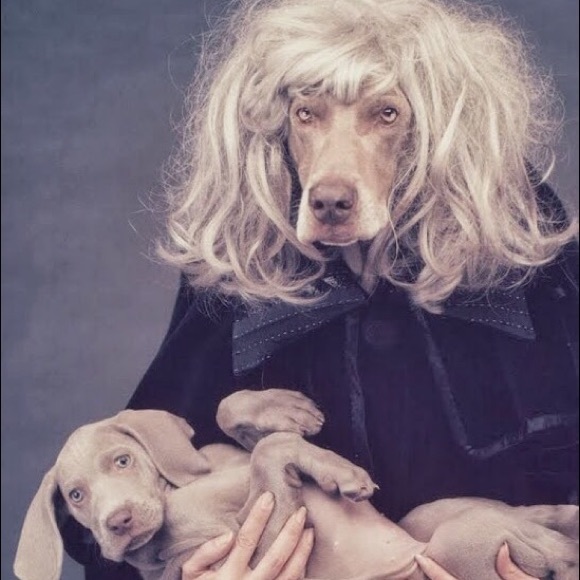 Meet your Posher, Christine - Picture 1 of 1