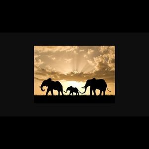 Meet your Posher, Wendy