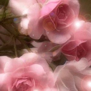 Meet your Posher, Olga