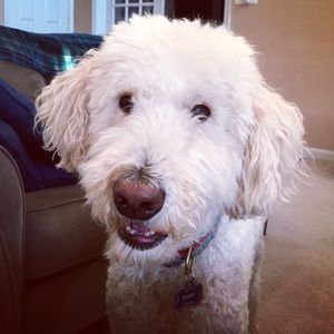 Meet your Posher, Christina