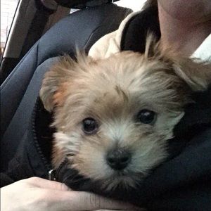 Meet your Posher, Heather