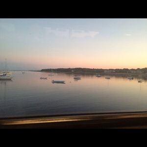 Meet your Posher, Dafna