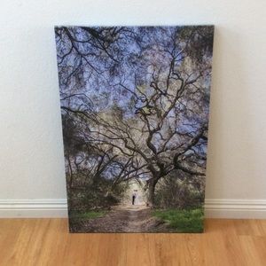 A 24x36 canvas print (not this one specifically)
