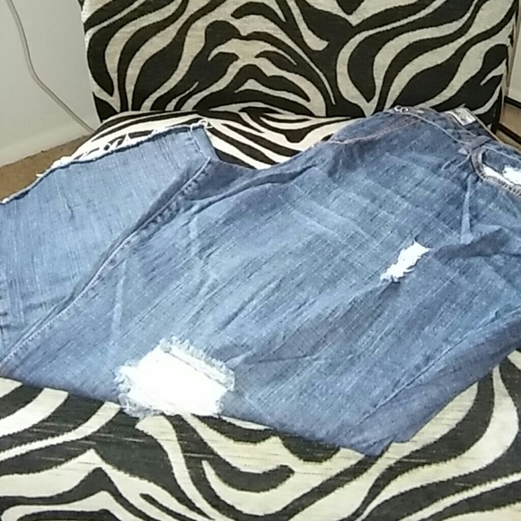 Baby Phat Distressed Jeans 24W Short