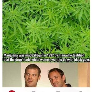 Meet your Posher, Claude