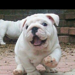 Meet your Posher, Jamie