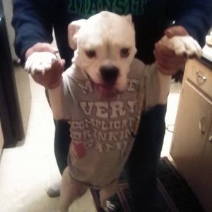 Meet your Posher, Margie