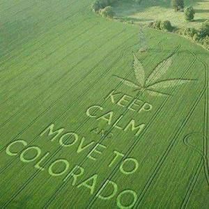 Meet your Posher, Kristi