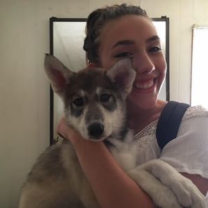 Meet your Posher, Gala