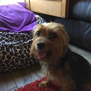 Meet your Posher, Kimmie