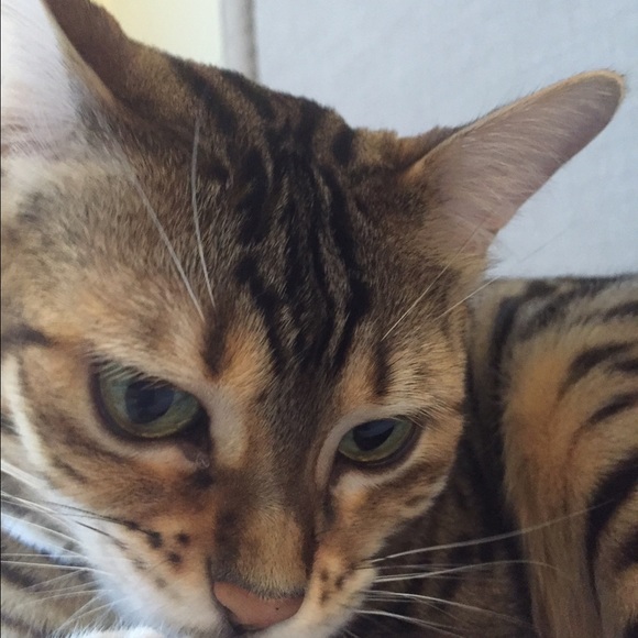 Meet your Posher, Mick