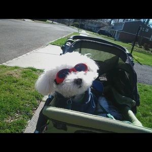 Meet your Posher, Laurie