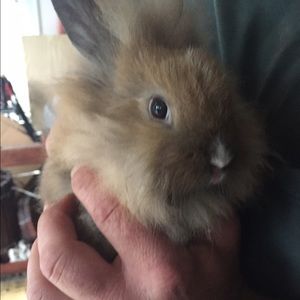 Meet your Posher, Lisa