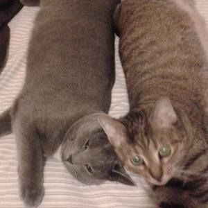 Meet your Posher, Maureen