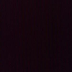 Meet your Posher, Abigail