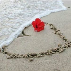 Meet your Posher, Dave katie