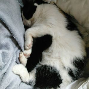 Meet your Posher, Lea