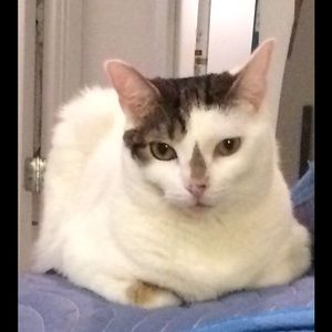 Meet your Posher, Deborah