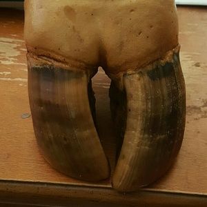 Meet your Posher, Aaron