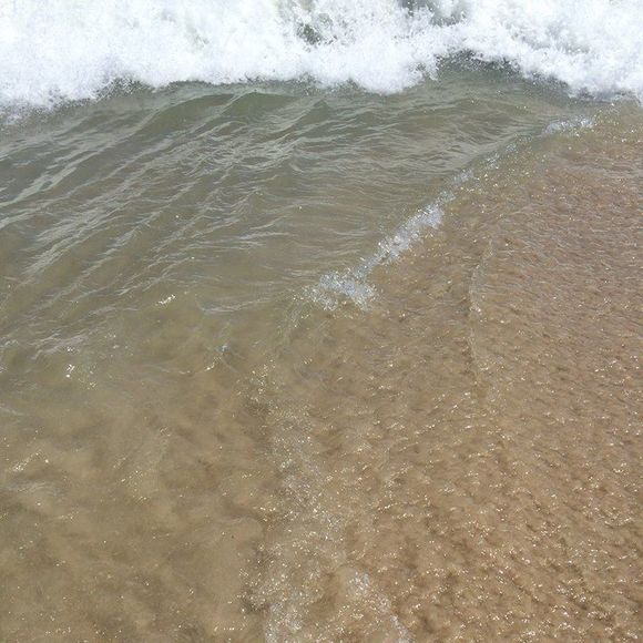 Meet your Posher, Kylie