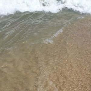 Meet your Posher, Kylie