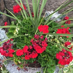 Meet your Posher, Kendra