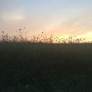 Meet your Posher, Mandi