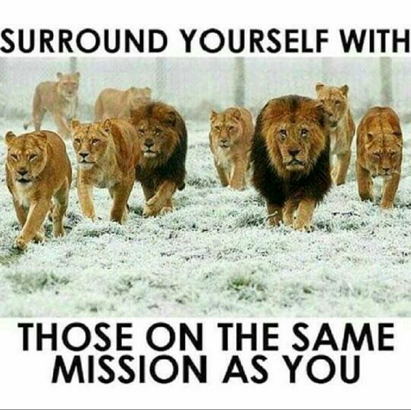 Follow Game :]] - Picture 2 of 5