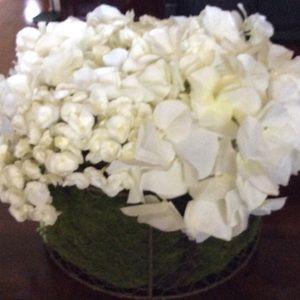 Meet your Posher, Telma