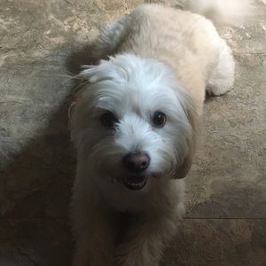 Meet your Posher, Terry