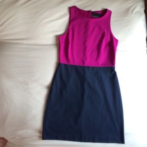 Fuchsia, Navy Blue Sheath Dress