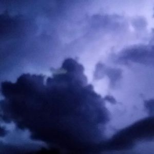 Meet your Posher, Terry