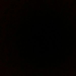 Meet your Posher, Joanitza