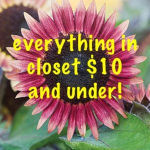 EVERYTHING IN CLOSET IS $10 AND UNDER!!!