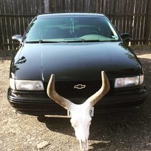 Meet your Posher, Omar