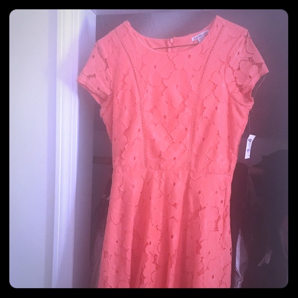 Cute Summer Dress - Picture 1 of 2